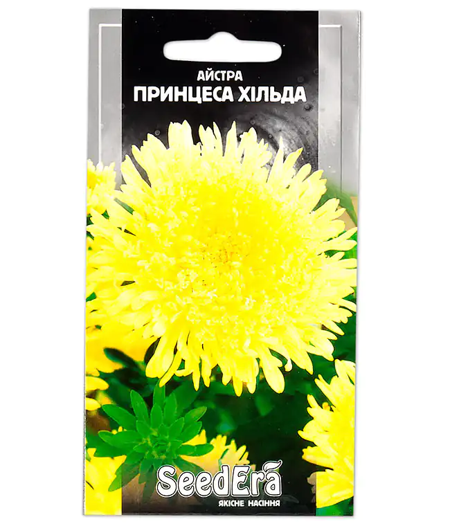 Изображение Астра Принцесса Хильда