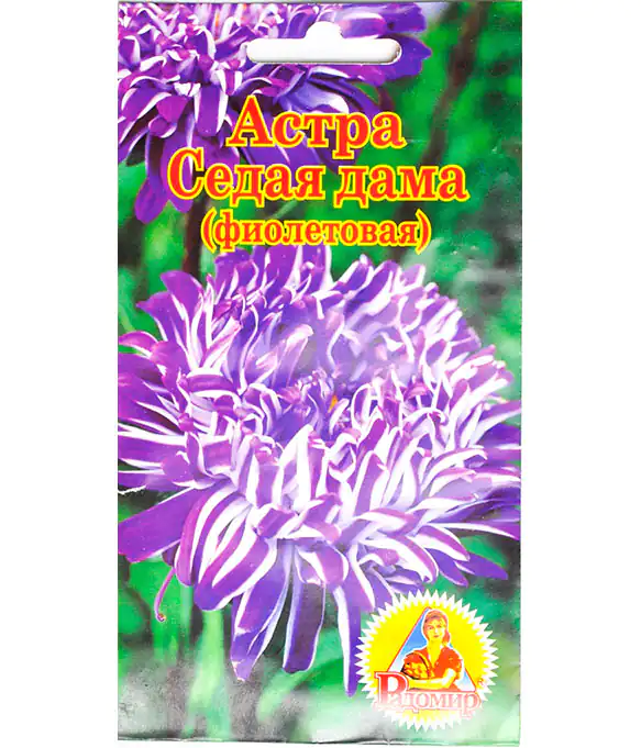 Семена цветов Астра Седая Дама Фиолетовая