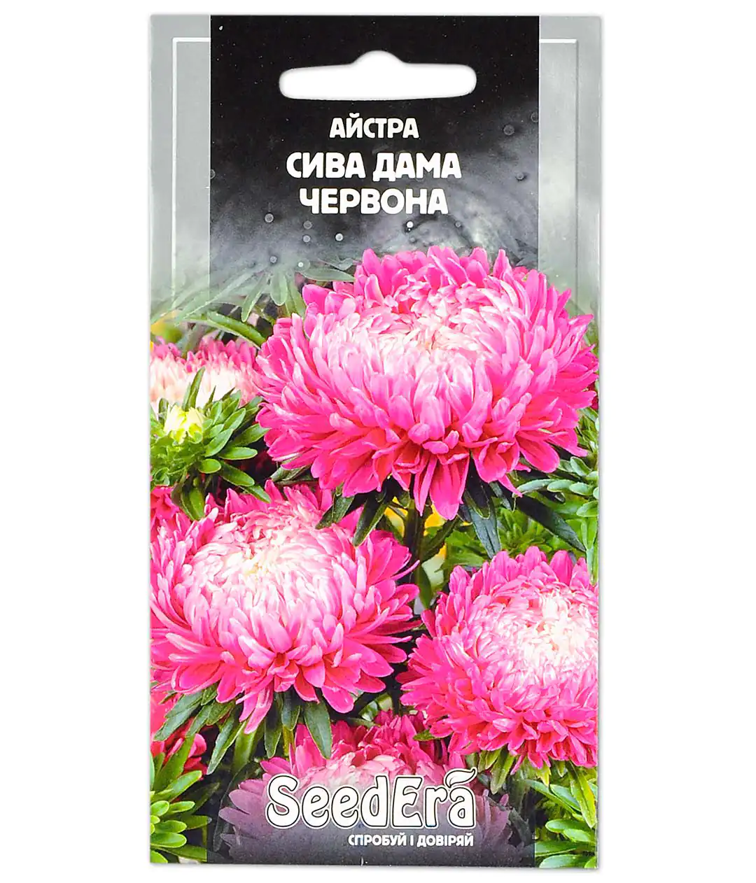 Айстра Сива Дама Червона