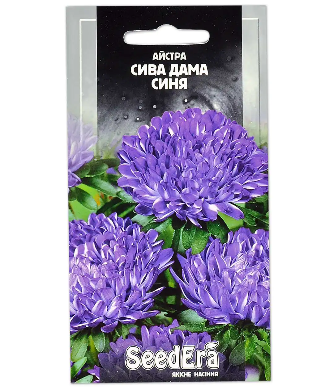 Астра Сива Дама Синя