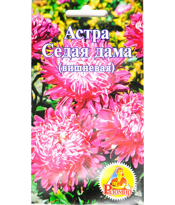 Семена цветов Астра Седая Дама Вишневая