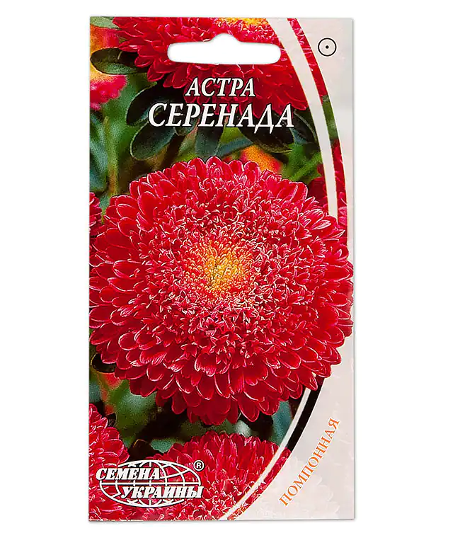 Семена цветов Астра Серенада