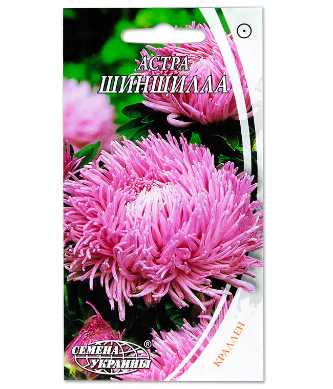 Семена цветов Астра Шиншилла