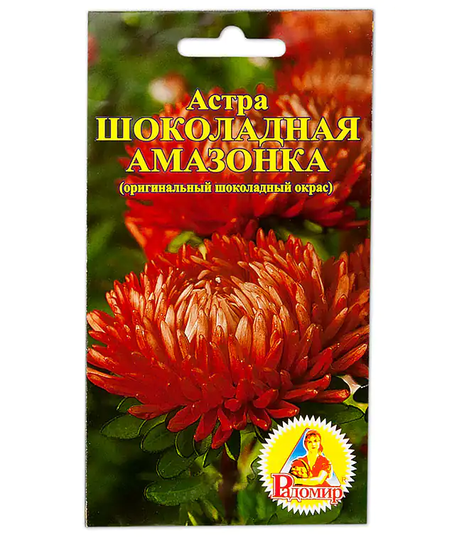 Семена цветов Астра Шоколадная Амазонка