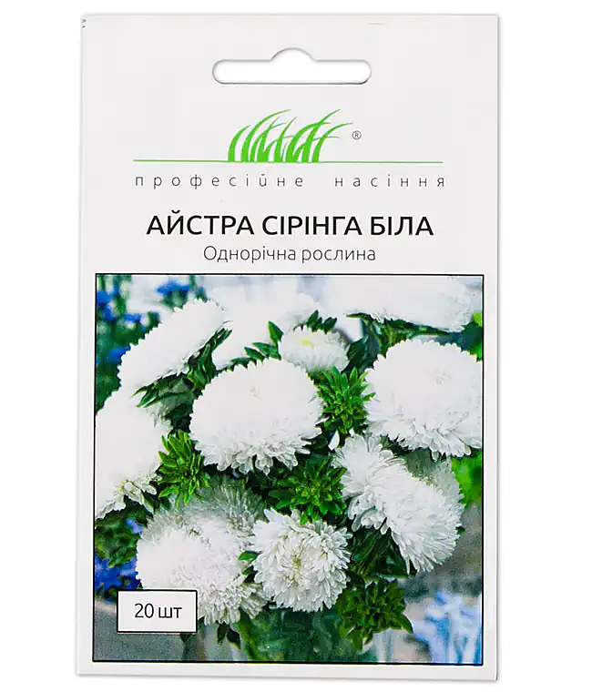 Айстра Сірінга Біла