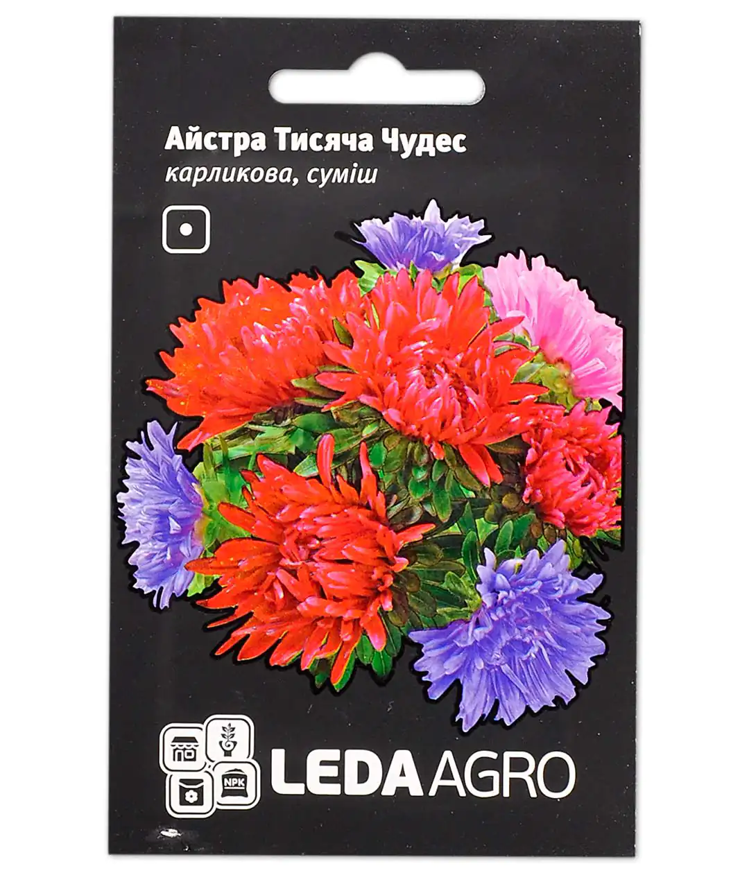 Семена цветов Астра Тысяча Чудес