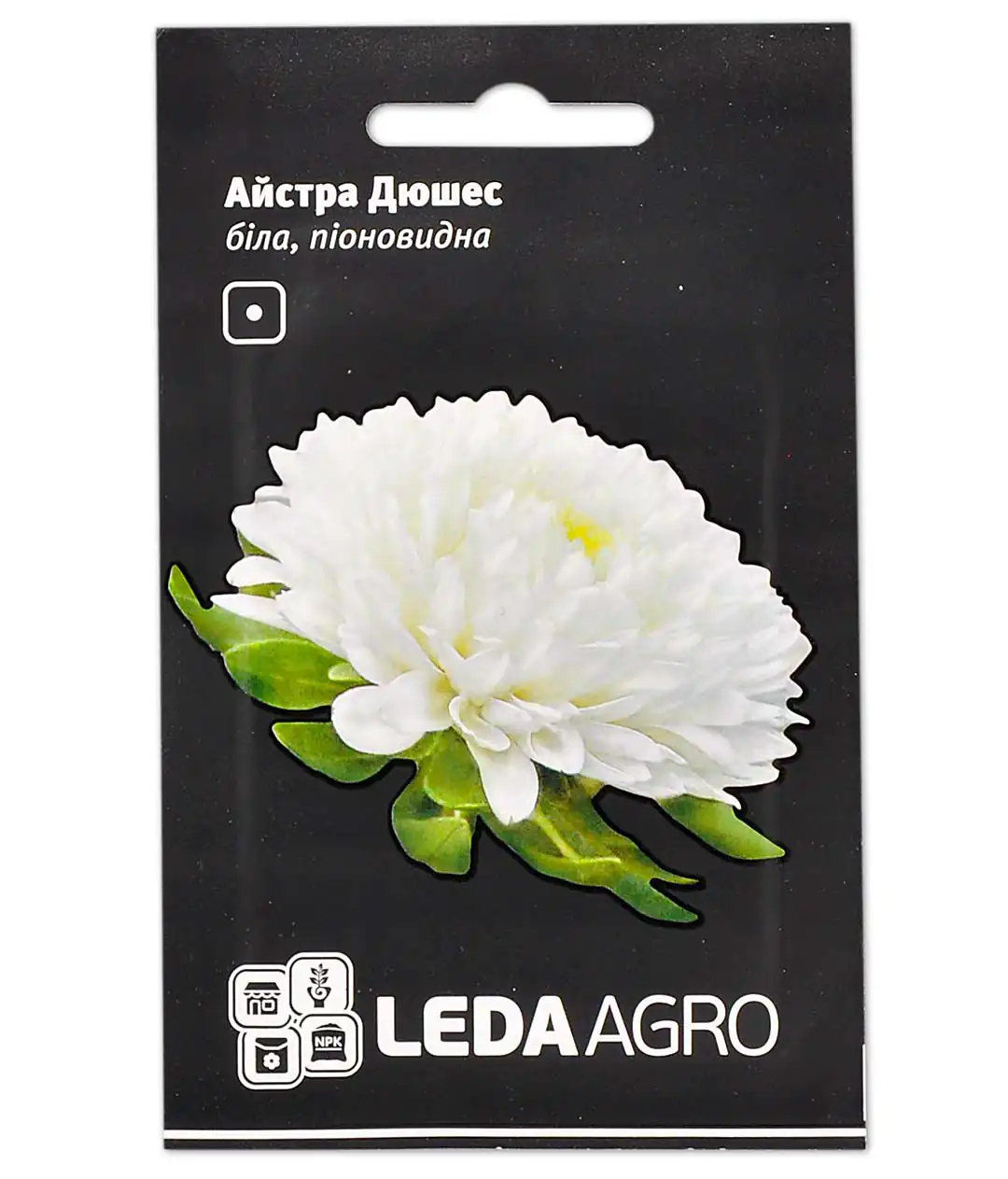Семена цветов Астра дюшес белая