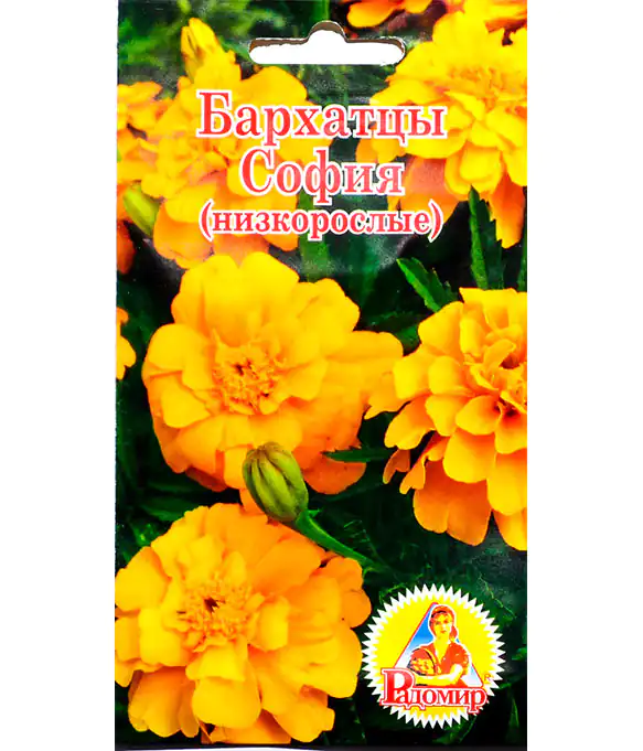 Семена цветов Бархатцы София