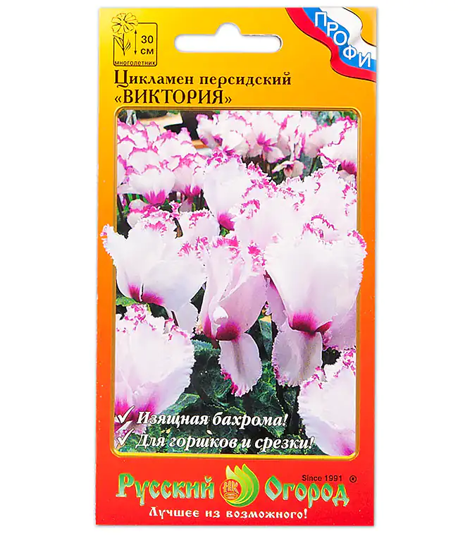 Семена цветов Цикламен Виктория