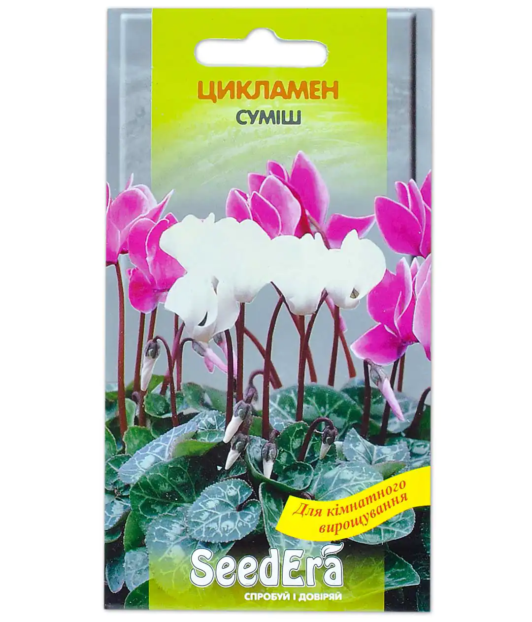 Семена цветов Цикламен