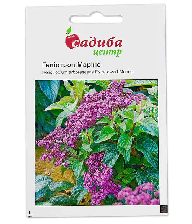 Семена цветов Гелиотроп Марине