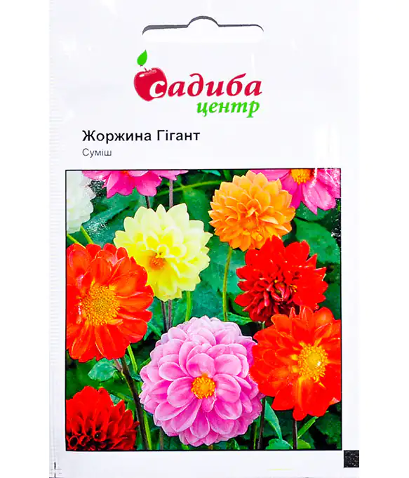 Семена цветов Георгина Гигант смесь