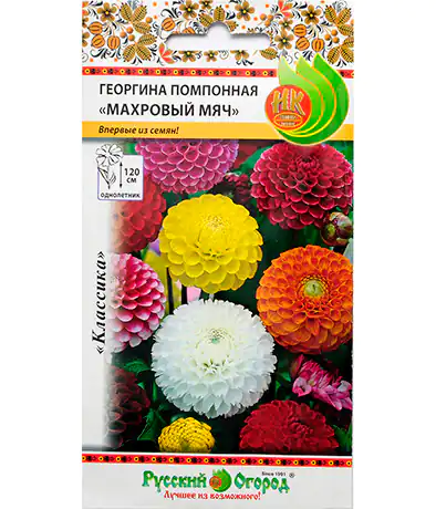 Семена цветов Георгина Махровый мяч