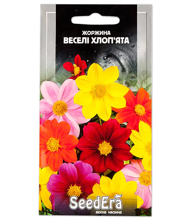 Георгина Веселые ребята