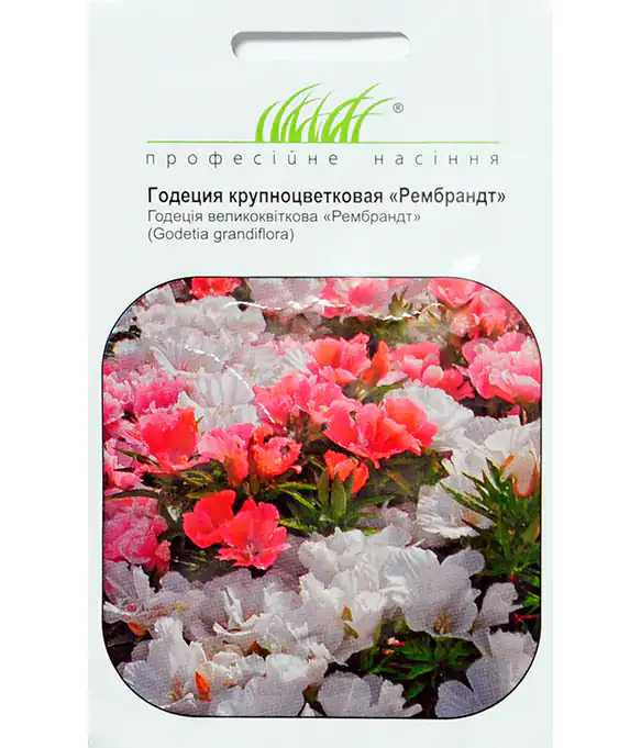 Семена цветов Годеция Рембрант