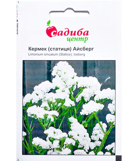 Семена цветов Кермек Айсберг
