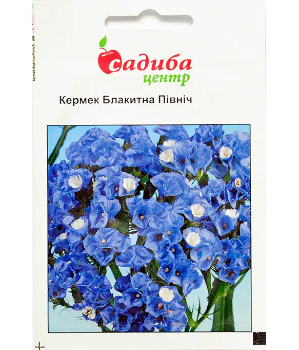 Семена цветов Кермек Голубой Север