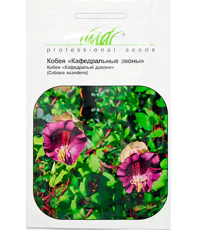 Семена цветов Кобея Кафедральные Звоны