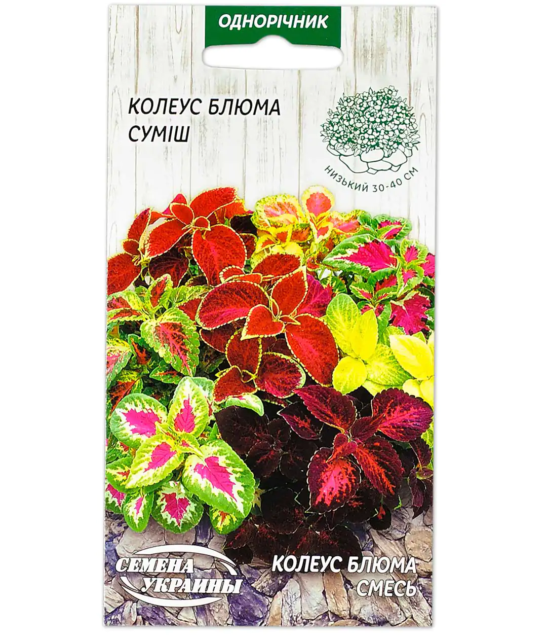 Изображение Семена цветов Колеус Блюма смесь