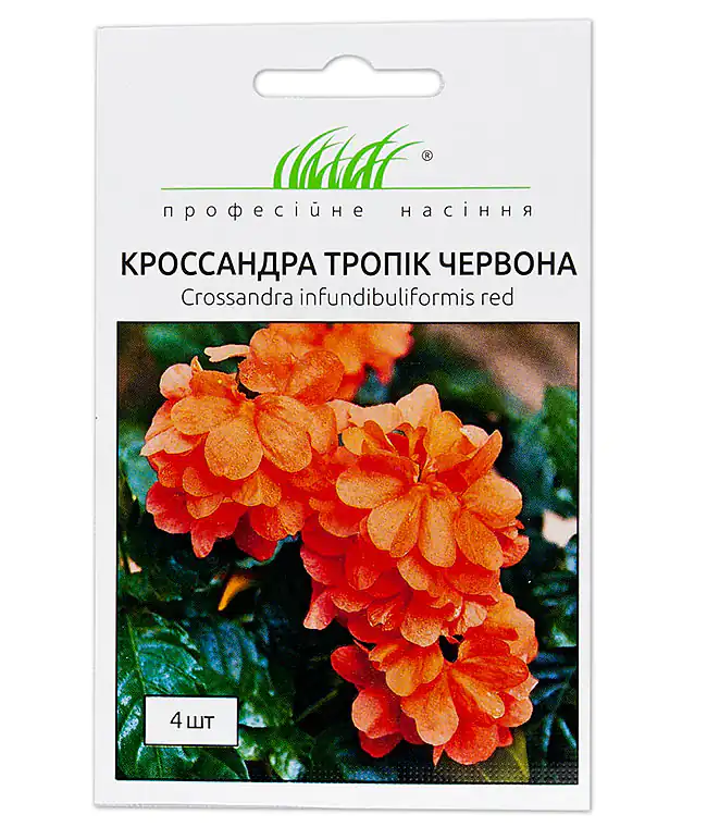 Семена цветов Кроссандра Тропик