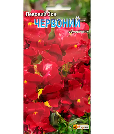 Семена цветов Львиный Зев Красный