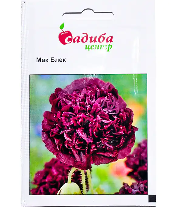 Семена цветов Мак Блек