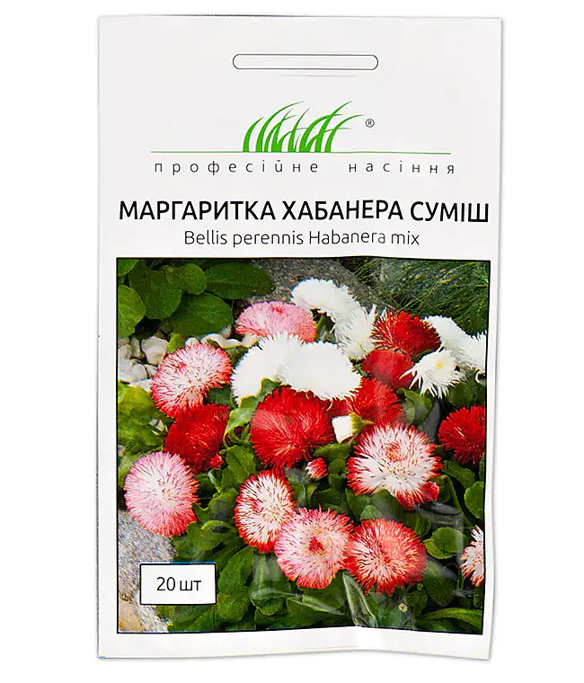 Семена цветов Маргаритка Хабанера смесь