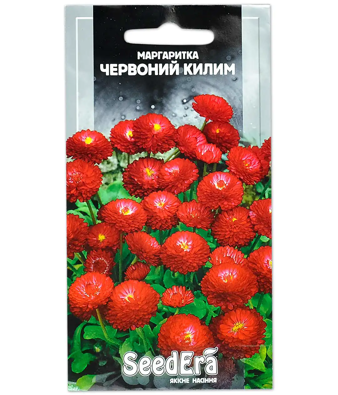 Семена цветов Маргаритка Красный ковер
