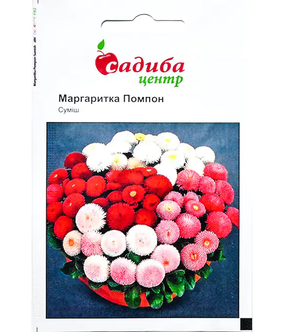 Семена цветов Маргаритка Помпон смесь