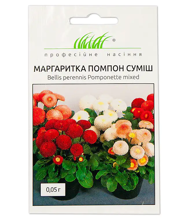 Семена цветов Маргаритка помпон смесь