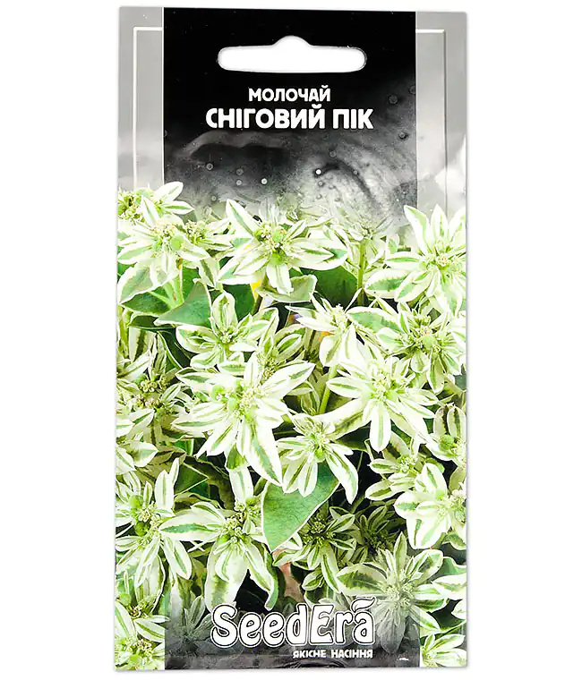 Семена цветов Молочай Снеговой пик