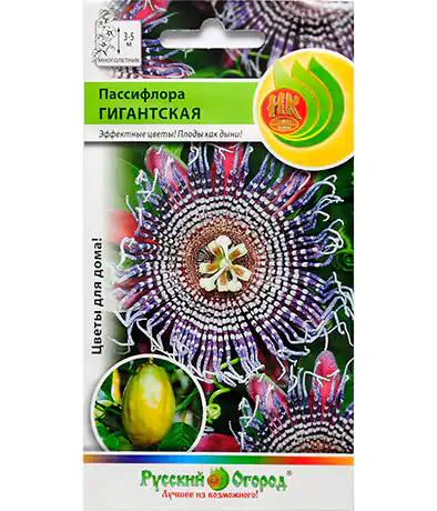 Семена цветов Пассифлора Гигантская