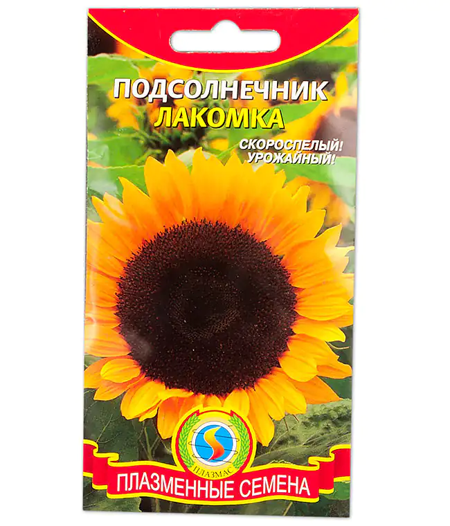 Семена цветов Подсолнечник Лакомка