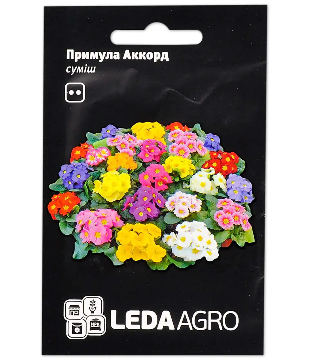 Семена цветов Примула Аккорд