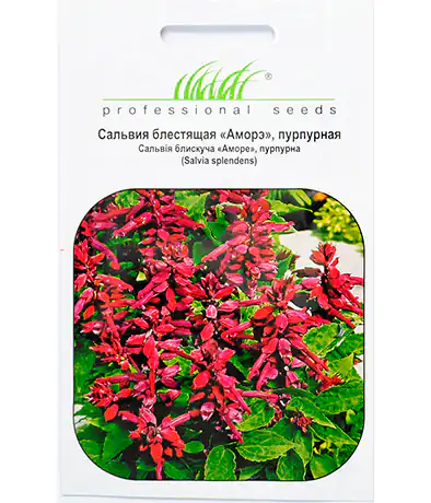 Семена цветов Сальвия Аморэ
