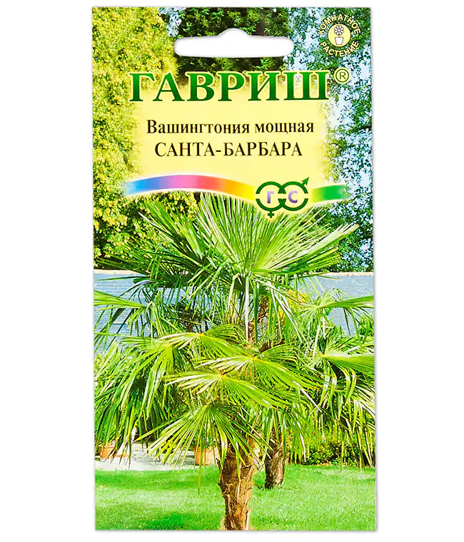 Семена цветов Вашингтония Санта-Барбара