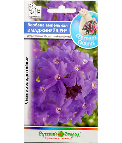 Семена цветов Вербена Имаджинейшен