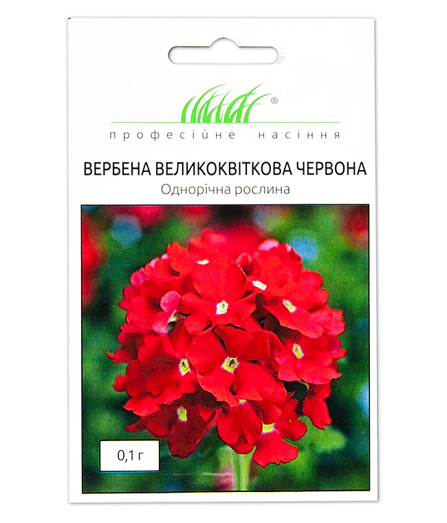 Изображение Семена цветов Вербена Красная с большими цветами
