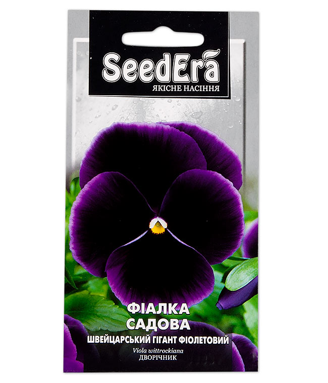 Изображение Семена цветов Виола садовая Швейцарский гигант фиолетовая
