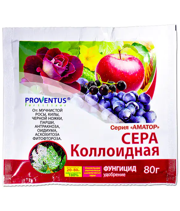 комментарий Фиалка