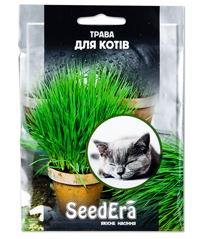 Изображение Трава для кошек 