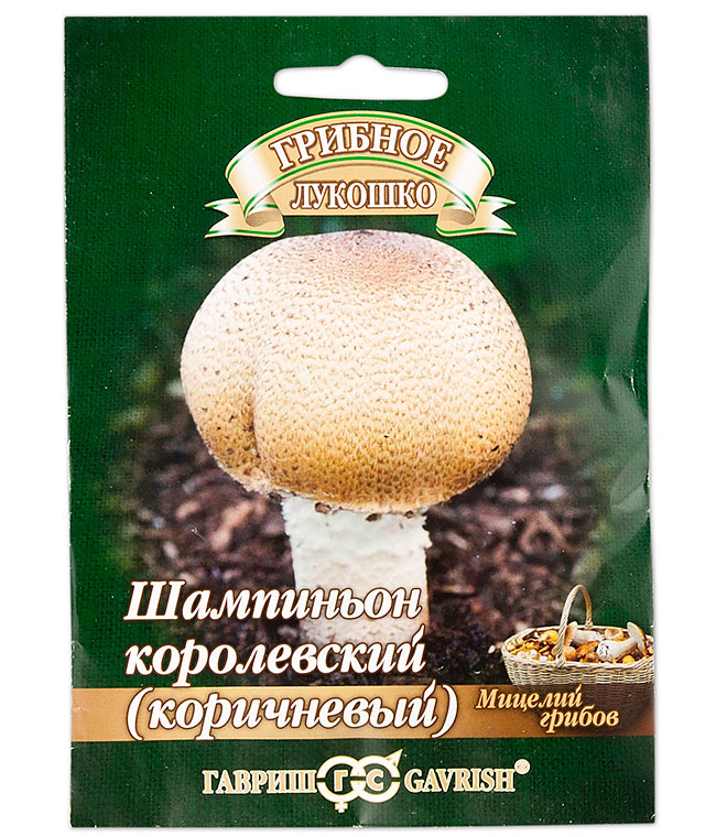 Изображение Мицелий грибов Шампиньон Королевский