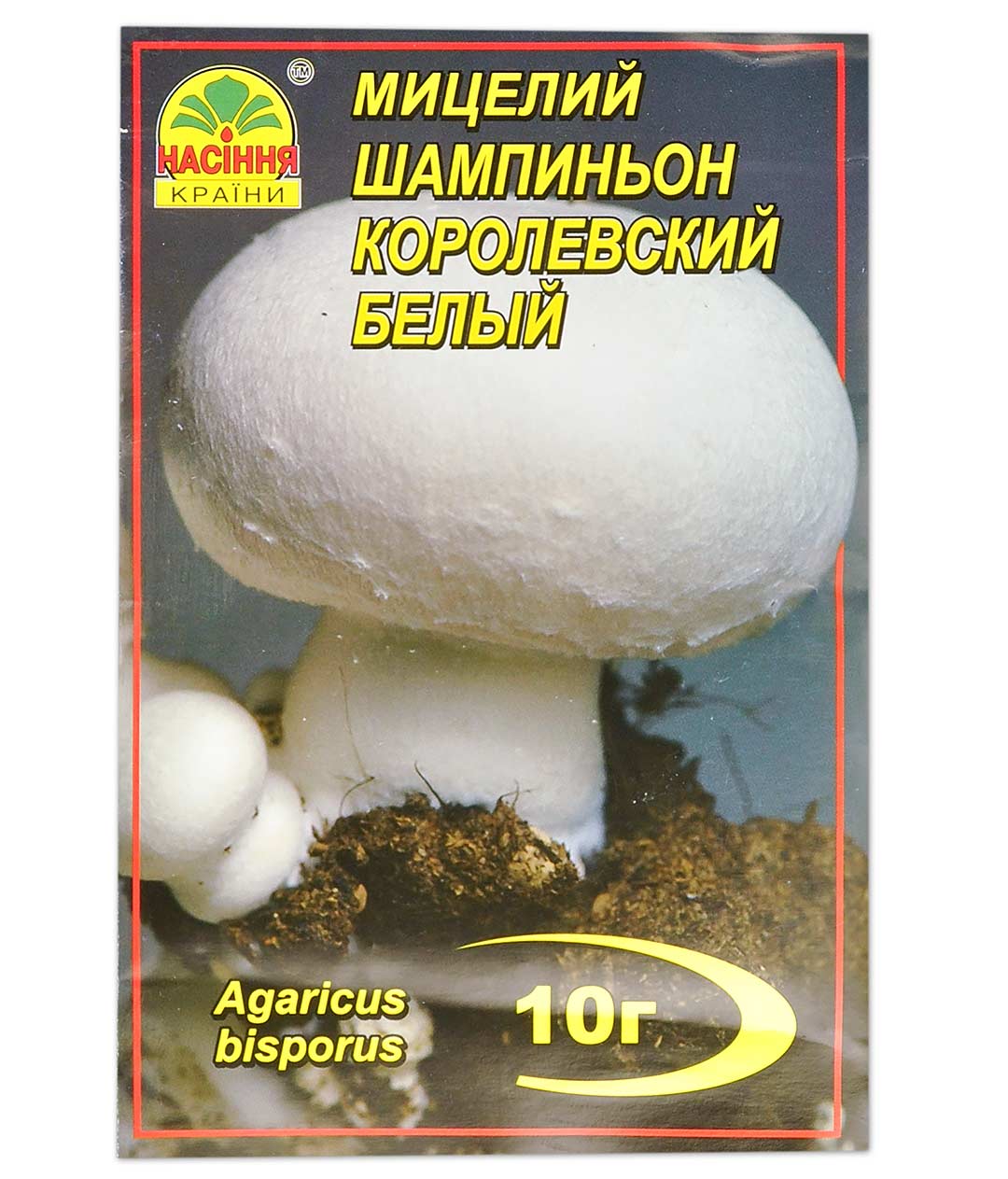 Изображение Мицелий грибов Шампиньон Королевский