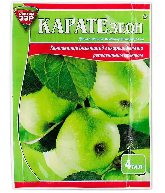 комментарий Жамшид