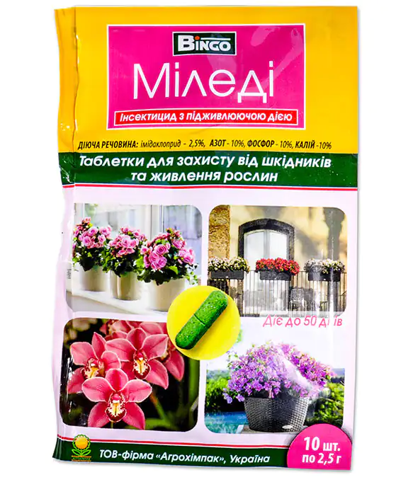 комментарий Фиалка