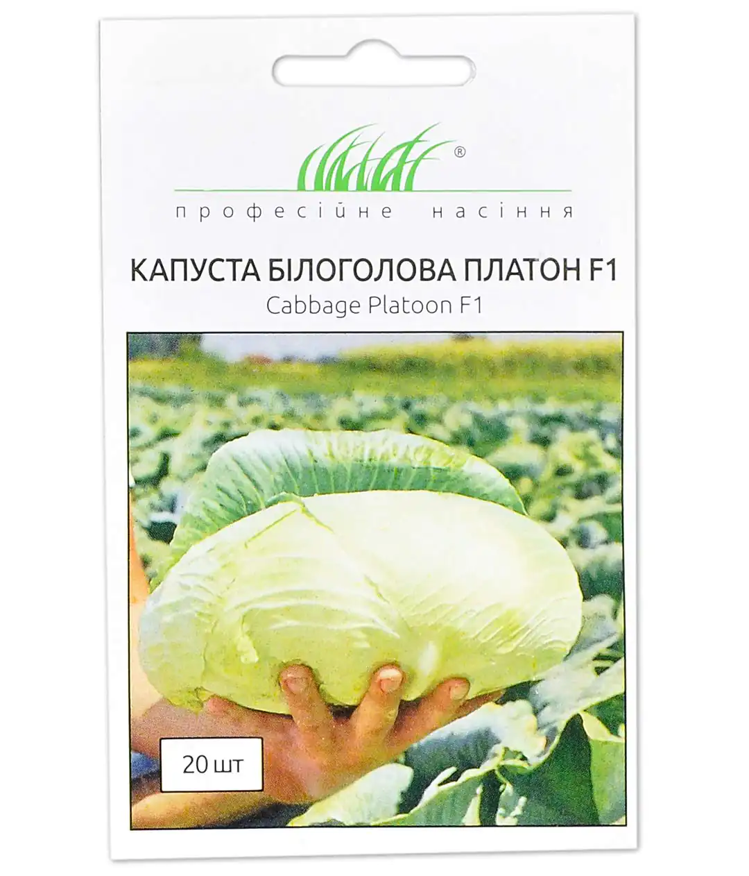 Капуста білоголова Платон