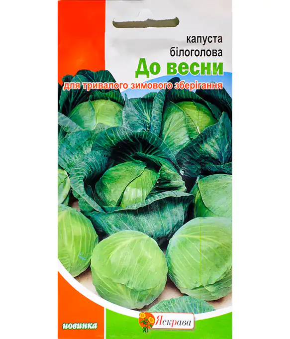 Капуста До Весны