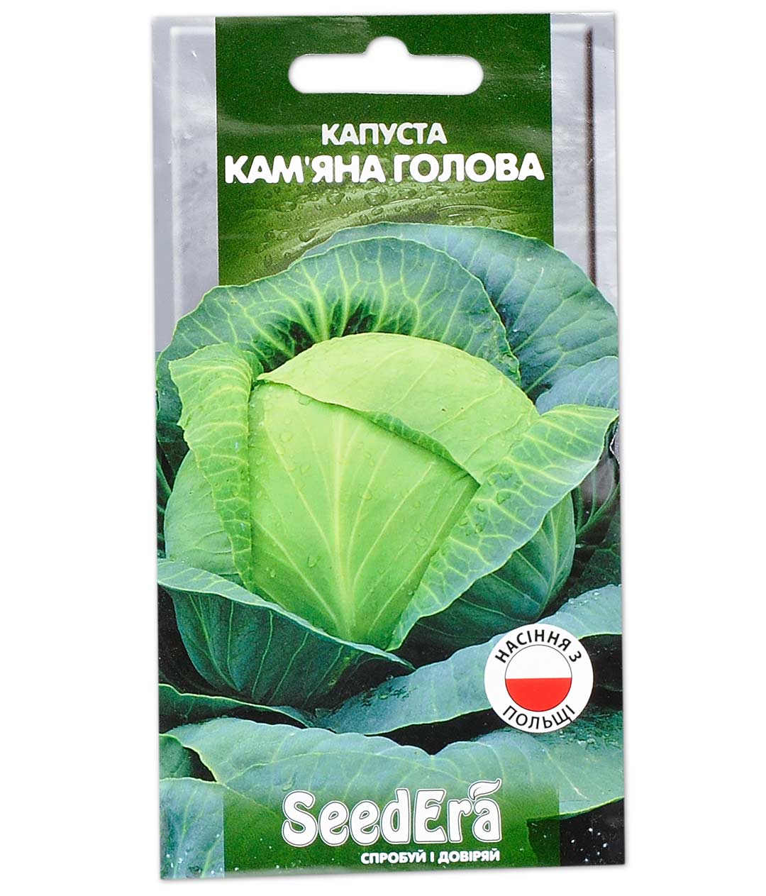 Изображение Капуста белокочанная Каменная голова