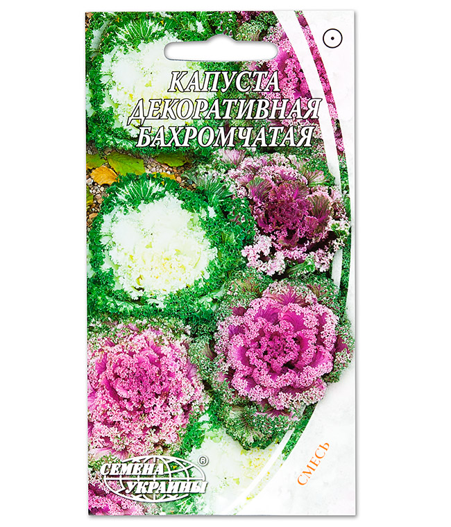 Изображение Семена цветов Капуста декоративная бахромчатая смесь 