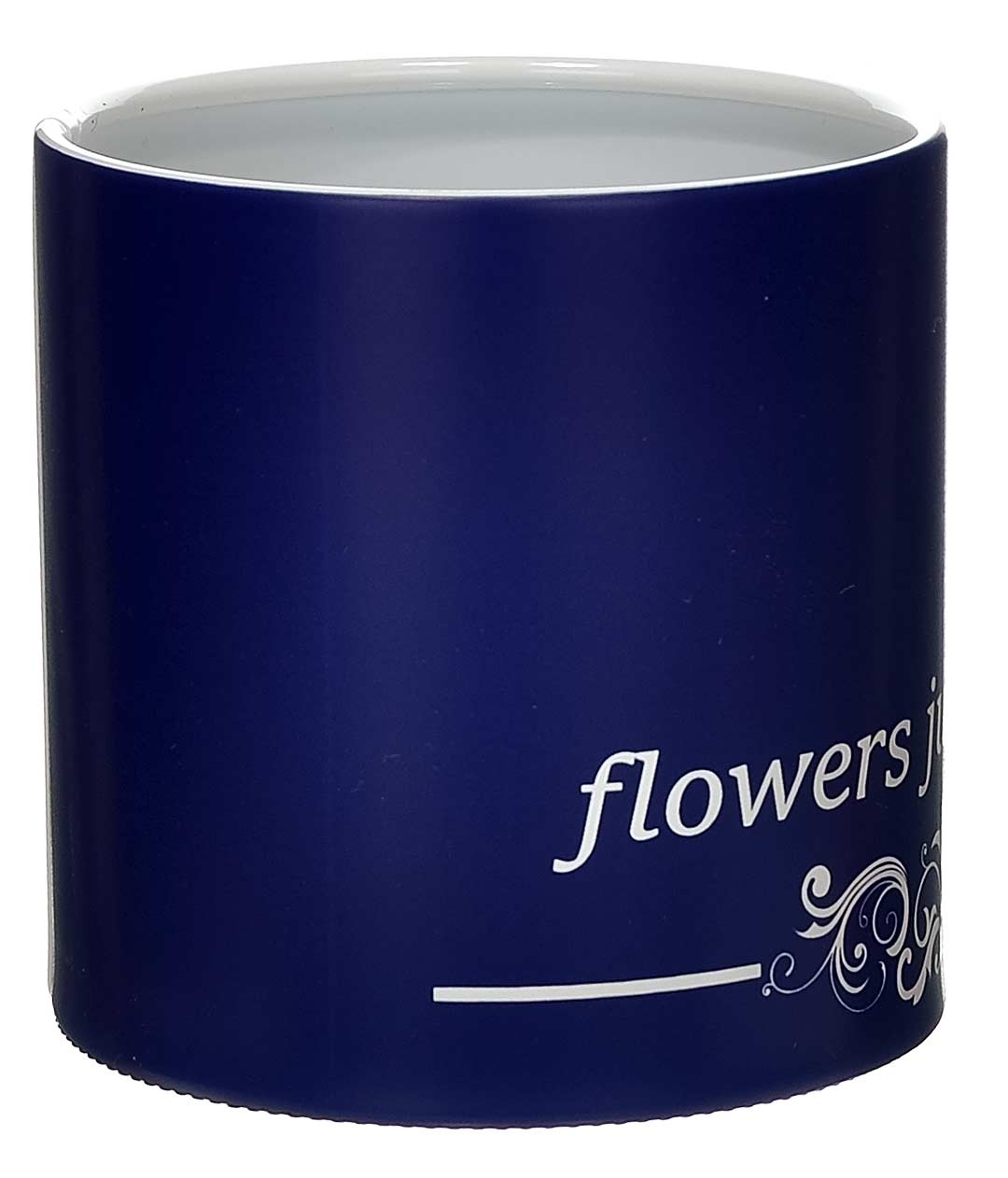 Изображение Коробка для квітів пластикова Flowers just синя 100/100